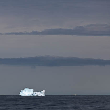 Marguerite Bay