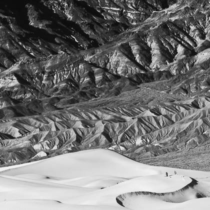 Mesquite Dunes